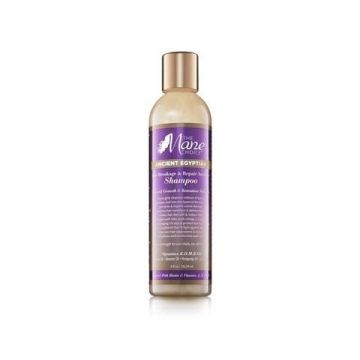 Mane Choice Ancient Egyptian Anti-Breakage & Repair Antidote Shampoo 236ml